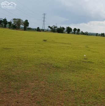 Chỉ 490tr có ngay 4144m2 đất nông nghiệp bình tân gần kdl sinh thái safari 3300ha ưu đãi chỉ tháng 9