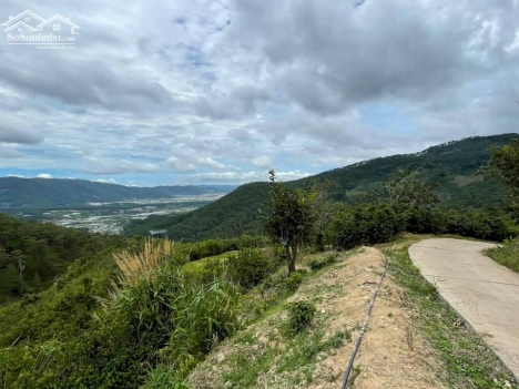 Cần bán lô đất 516m2 tại Đà Lạt, sổ hồng riêng giá 900 triệu