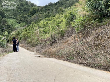 Cần bán lô đất 516m2 tại Đà Lạt, sổ hồng riêng giá 900 triệu