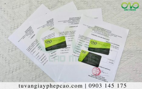 Tư vấn xin certificate of free sale cho bánh bao sữa tươi