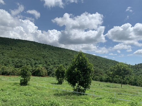 Đất view suối đồi cực đẹp cực hấp dẫn 540m2 giá 860 triệu