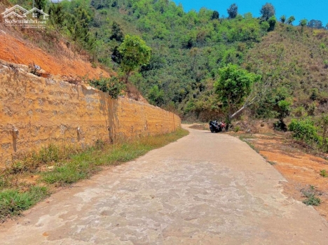 Đất nghỉ dưỡng 516m2 view săn mây, lựng tựa đồi thông giá 850 triệu tại Tp. Đà Lạt- Lâm Đồng.