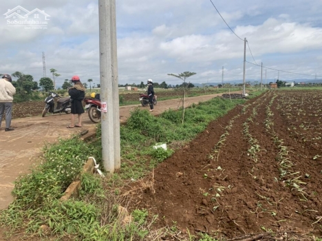 bán đất thị trấn liên nghĩa đức trọng