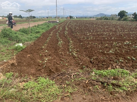 bán đất thị trấn liên nghĩa đức trọng