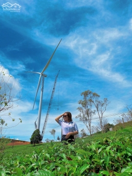 bán đất đalat  sổ riêng 1157m2