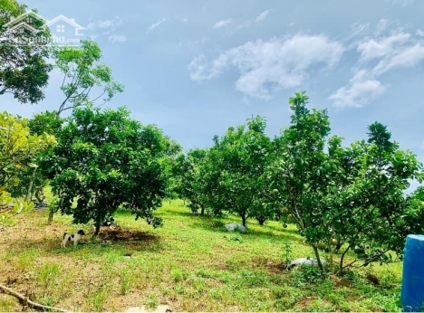 Bán gấp lô góc 5300m3 2 mặt tiền Giá Rẻ