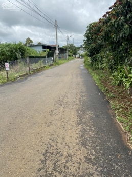 Bán lô đất đẹp Đường Mạc Đĩnh Chi, phường 2, Bảo Lộc, Lâm Đồng