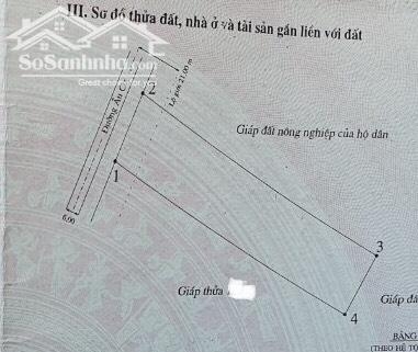Đất Mặt Tiền 30m đường Âu Cơ-Tiến Bình-Tiến Thành-Phan Thiết-DT 3.925m2-Giá thời CoVi.