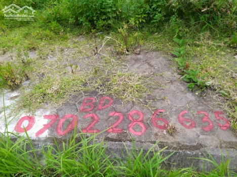 Bán lô đất Vườn Hồng, Đằng Hải, Hải An - vị trí thuận tiện, đất vuông vắn có cả lô góc. LH: 0702.286