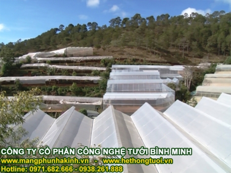 Lưới chống côn trùng nông nghiệp, lưới chắn côn trùng thái lan, vật tư nhà lưới politiv israel