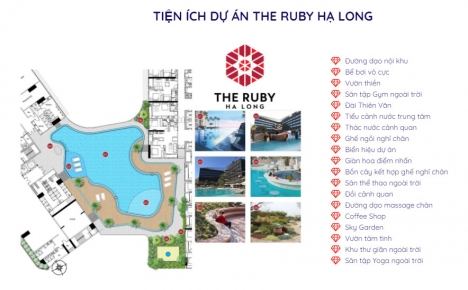 Căn hộ Hạng A Hạ Long trả góp từ 230 triệu.