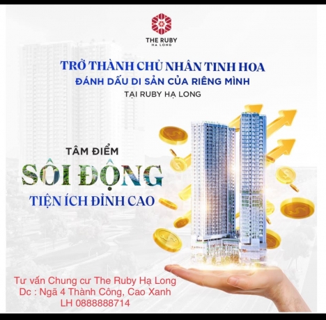 Căn hộ Hạng A Hạ Long trả góp từ 230 triệu.