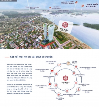 Căn hộ Hạng A Hạ Long trả góp từ 230 triệu.