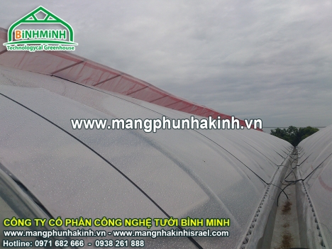 Làm nhà lưới nhốt rau sạch, nhà nông có thu nhập cả chục triệu, nhà lưới nông nghiệp
