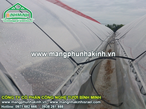 Tự tạo cơ hội trồng rau trong nhà lưới, nhà lưới trồng dưa lưới, nhà lưới nhà kính, nhà lưới giá rẻ