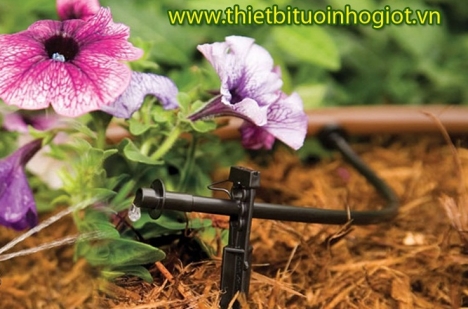 Ống dẫn tưới nhỏ giọt pe azud, đầu tưới nhỏ giọt, béc tưới nhỏ giọt, dây tưới nhỏ giọt, đầu tưới nhỏ