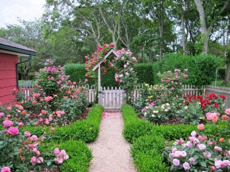 bán lô đất  hơn 500m2 chỉ 650 tr tặng hàng rào vuòn rau  xanh  cây ăn trái