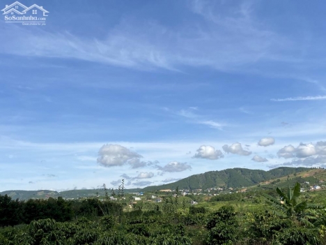 Bán lô đất Farmstay 500m2 giá 650 triệu tại Gia Lâm- Lâm Hà.