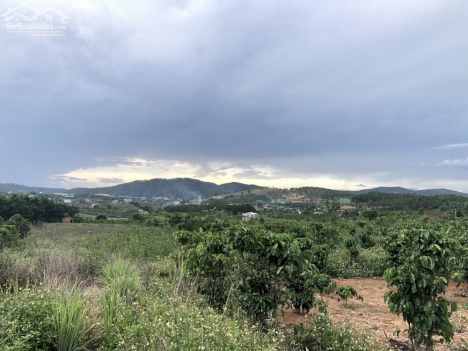 Bán lô đất Farmstay 500m2 giá 650 triệu tại Gia Lâm- Lâm Hà.