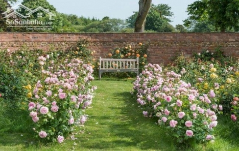 bán lô đất  hơn 500m2 chỉ 650 tr tặng hàng rào vuòn rau  xanh  cây ăn trái