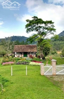 10x28 full thổ cư VEN ĐÀ LẠT