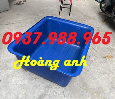 Thùng nhựa hình chữ nhật 300l, thùng nhựa hình chữ nhật trông rau, thùng nhựa nuôi cá