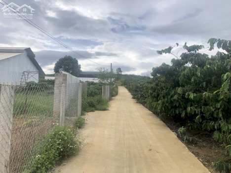 09 nền nghỉ dưỡng ven dalat  hơn 300m2  trở lên  có thổ cư  giá từ 1 ty 290tr