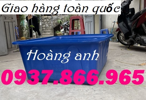 Thùng nhựa hình chữ nhật 300l, thùng nhựa hình chữ nhật trông rau, thùng nhựa nuôi cá