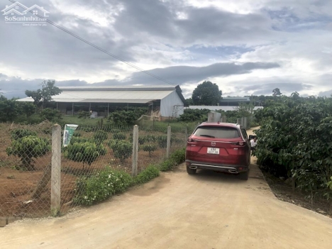 09 nền nghỉ dưỡng ven dalat  hơn 300m2  trở lên  có thổ cư  giá từ 1 ty 290tr