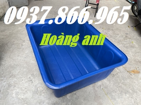 Thùng nhựa hình chữ nhật 300l, thùng nhựa hình chữ nhật trông rau, thùng nhựa nuôi cá