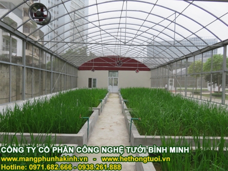 Thiết kế nhà lưới giá tốt, lưới chắn côn trùng mua ở đâu, mô hình nhà lưới giá rẻ