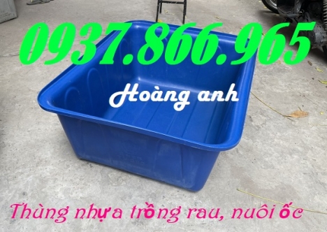 Thùng nhựa hình chữ nhật 300l, thùng nhựa hình chữ nhật trông rau, thùng nhựa nuôi cá