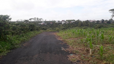 Bán Đất 5x25m, 700tr, sổ hồng riêng.