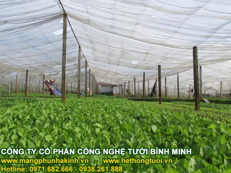 Nhà lưới giá rẻ, thi công nhà lưới siêu tiết kiệm, lưới chắn côn trùng nhà kính, lưới chắn côn trùng