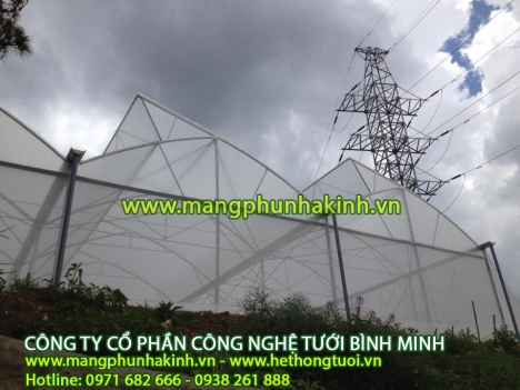 Màng pe 5 lớp, nhà lưới công nghệ cao,vật tư nhà màng, màng phủ nhà kính Politiv