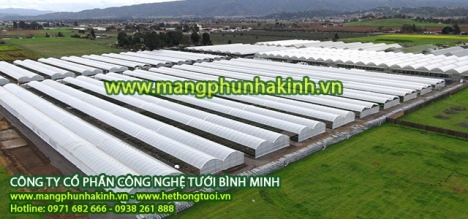 Màng pe 5 lớp, nhà lưới công nghệ cao,vật tư nhà màng, màng phủ nhà kính Politiv