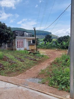 chính chủ cần bán nhà đất về quê với con