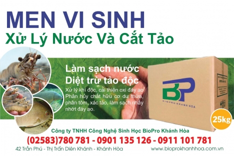 Cắt tảo độc cực mạnh bằng men vi sinh Biopro Khánh Hòa, giá tốt