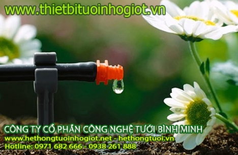 Nhập khẩu và phân phối thiết bị tưới nhỏ giọt tại Việt Nam,công ty nhập khẩu thiết bị tưới nhỏ giọt