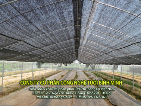 Lưới che nắng thái lan, lưới che nắng nông nghiệp tại Hà Nội