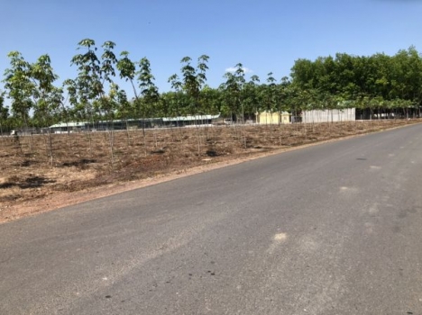 Đất vườn cạnh Khu Công Nghiệp Becamex - Chỉ 490 triệu/ 1000m2 - Sổ hồng riêng - 0865939679