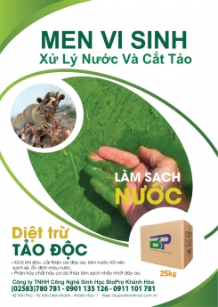 Cắt tảo độc cực mạnh bằng men vi sinh Biopro Khánh Hòa, giá tốt