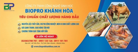 Chế phẩm men vi sinh tiêu hóa sống tăng trọng cho lợn, bò, gà tại Khánh Hòa
