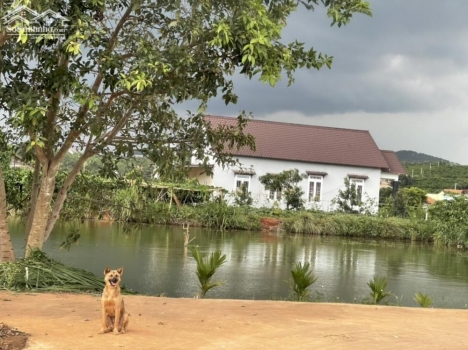 nóng hổi 06  nền nghỉ dưỡng fullhouse  tặng compo hàng rào  kèm sân vườn