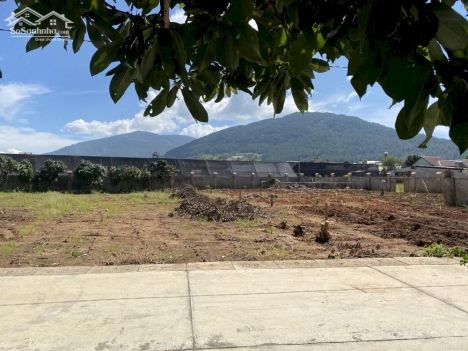 10x29m sẵn 200m2 thổ cư cách chợ Phi Nôm- Hiệp Thạnh chỉ 2 tỷ 560 triệu.