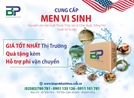 Chế phẩm men vi sinh tiêu hóa sống tăng trọng cho lợn, bò, gà tại Khánh Hòa