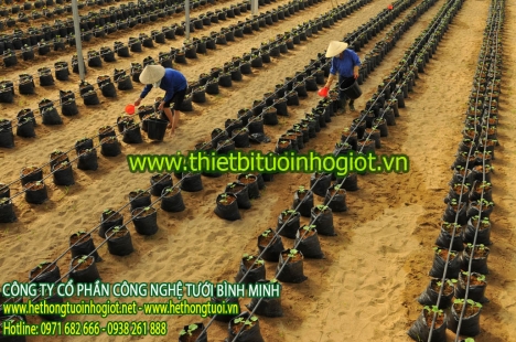Bộ lọc đĩa tự động helix system 3cr disc 130 micron, đầu tưới nhỏ giọt bù áp, dây tưới nhỏ giọt