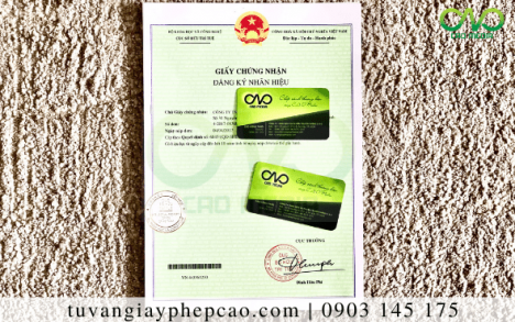 Đăng ký nhãn hiệu sản phẩm thịt nghêu đóng hộp tại C.A.O Media