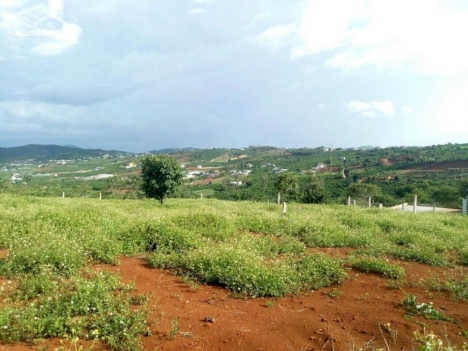 Bán ngay lô đất nghỉ dưỡng 10x50m sẵn thổ cư view đồi thị trấn Nam Ban- Lâm Hà giá 795tr