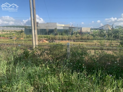 Lô đất đẹp mặt tiền đường Phạm Ngọc Thạch- Thạnh Mỹ- Đơn Dương- Lâm Đồng